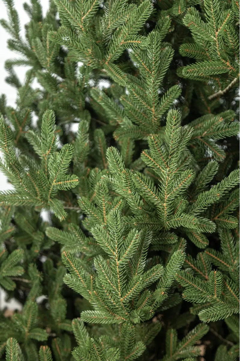 Ялинка литая штучна Віденська зелена