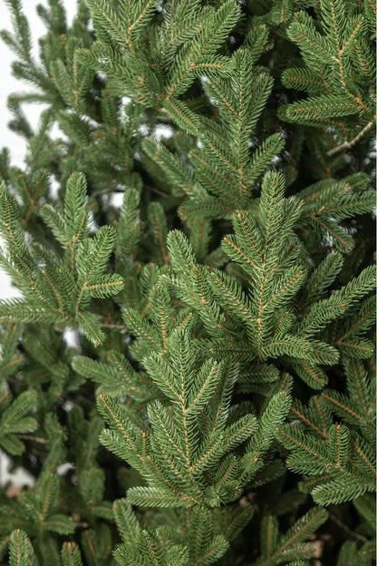 Ялинка литая штучна Віденська зелена