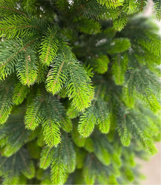 Ялинка литая штучна Бельгійська з салатовими кінчиками