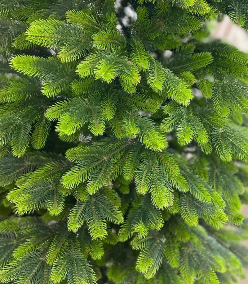 Ялинка литая штучна Бельгійська з салатовими кінчиками