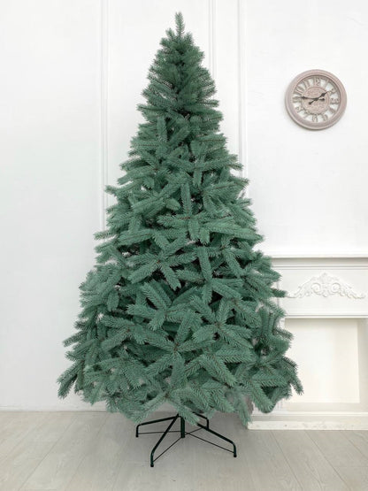 Ялинка лита Буковельська блакитна