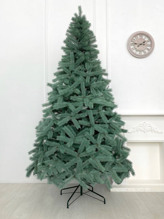 Ялинка лита Буковельська блакитна