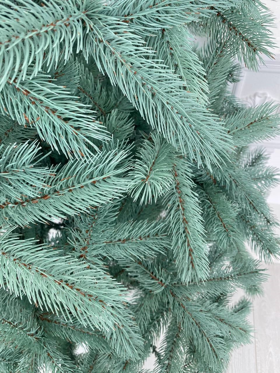 Ялинка лита Буковельська блакитна