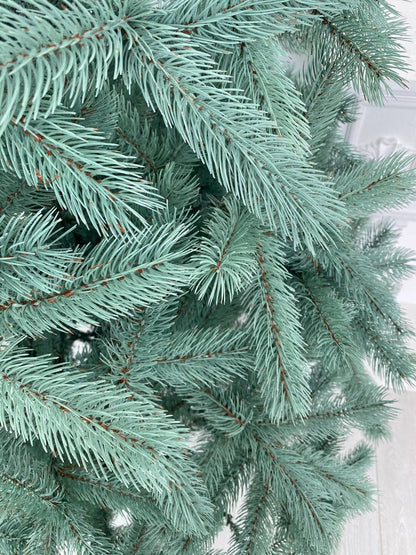 Ялинка лита Буковельська блакитна