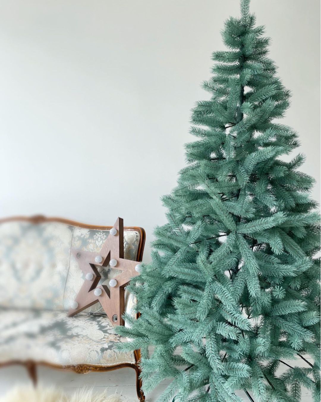 Ялинка лита Буковельська блакитна