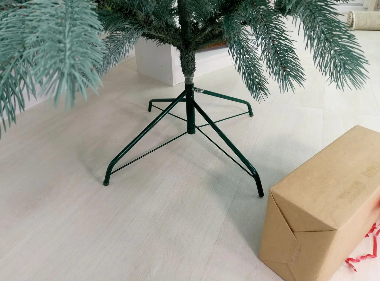 Ялинка лита Буковельська блакитна