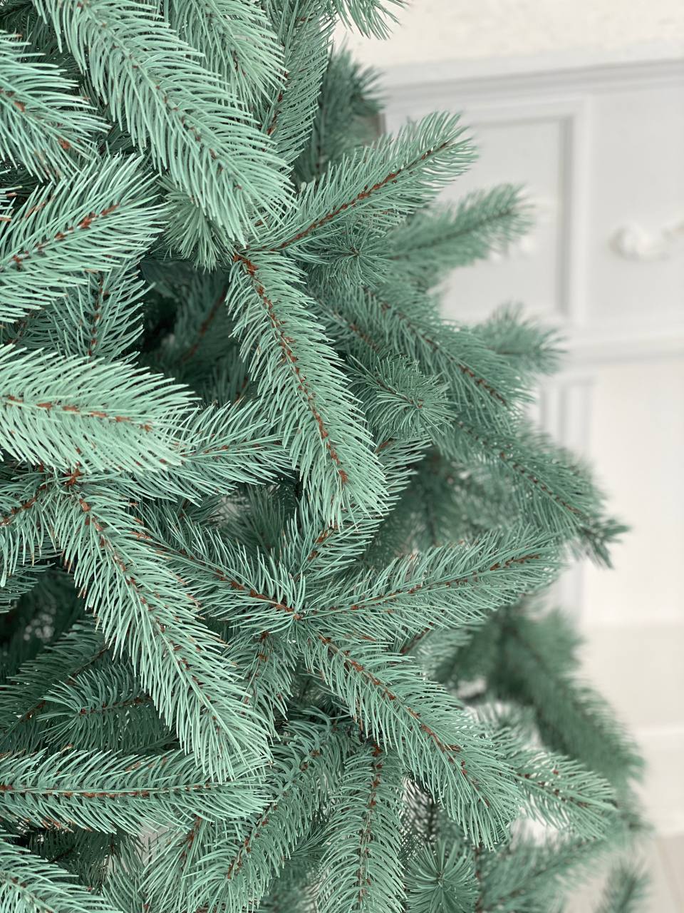 Ялинка лита Буковельська блакитна