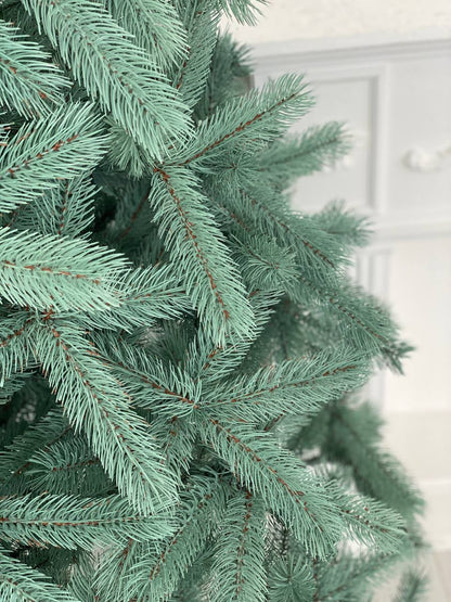 Ялинка лита Буковельська блакитна