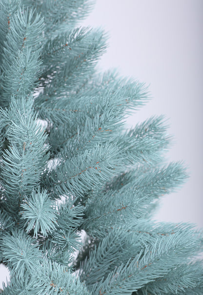 Ялинка лита Буковельська блакитна