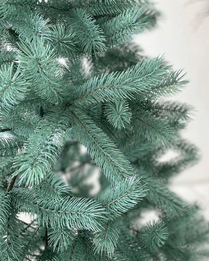 Ялинка лита Буковельська блакитна