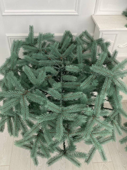 Ялинка лита Буковельська блакитна