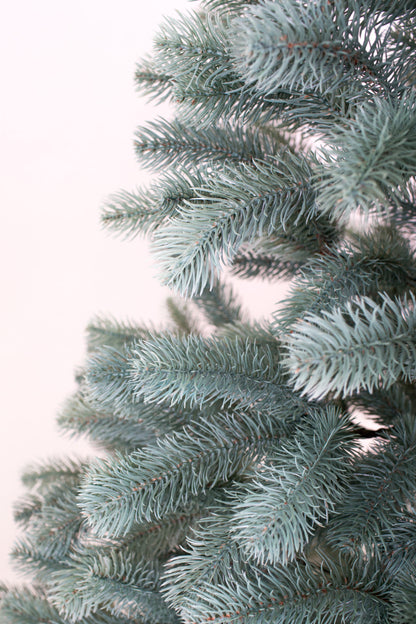 Ялинка лита Буковельська блакитна